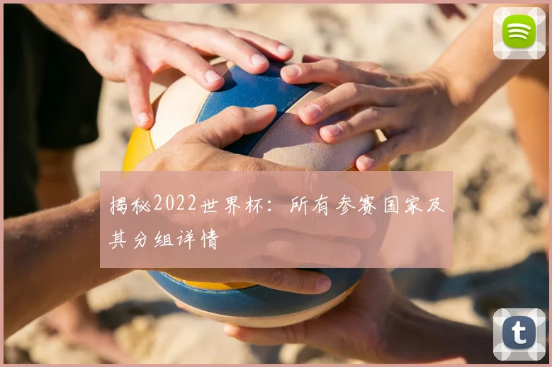 揭秘2022世界杯：所有参赛国家及其分组详情
