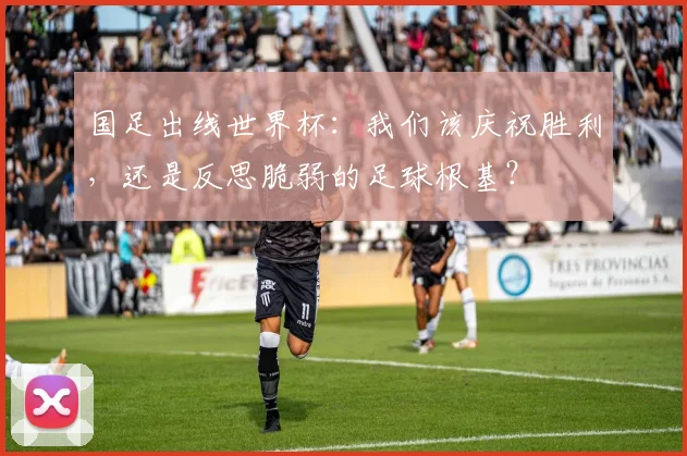 国足出线世界杯:我们该庆祝胜利,还是反思脆弱的足球根基?